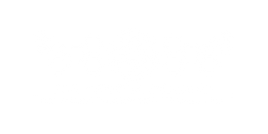 Venue Name