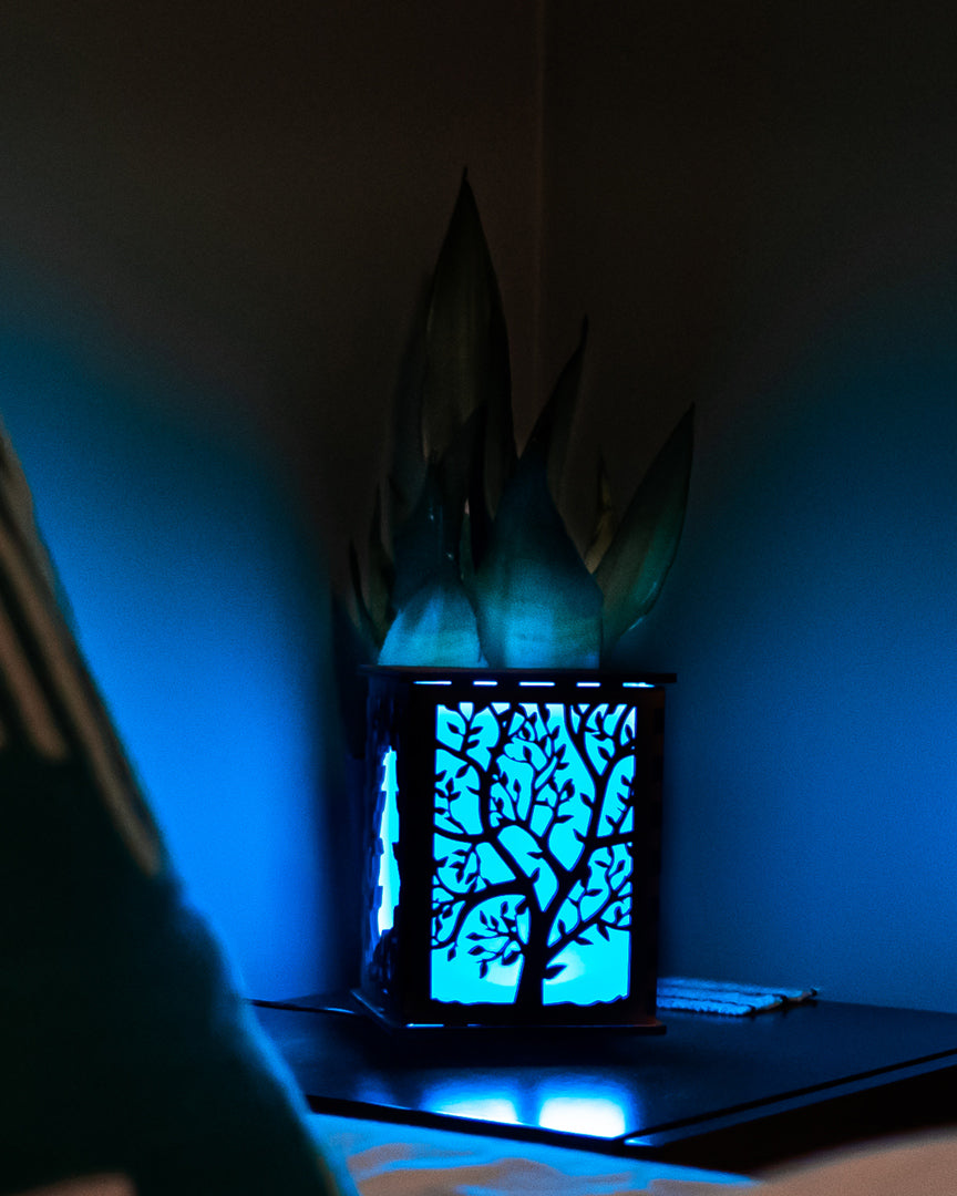 Land Animals LightBox — Laser-Cut Wooden Night Light with LED Glow